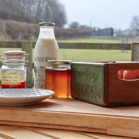 度假居 Beech Tree 约克