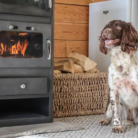 بيت للعطل Beech Tree يورك