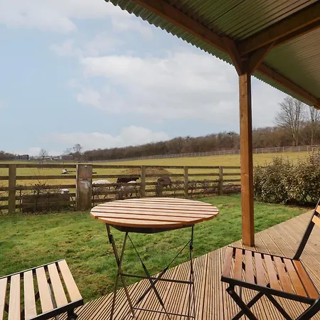 Beech Tree * يورك