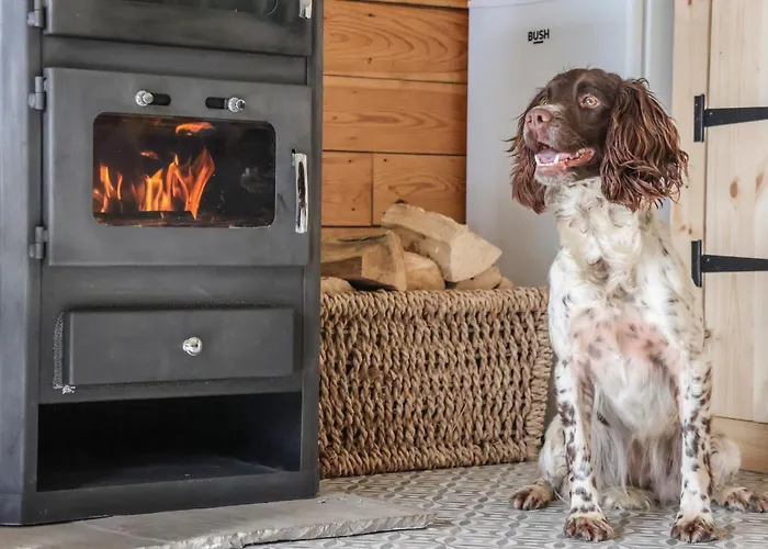 Prázdninový dům Beech Tree York